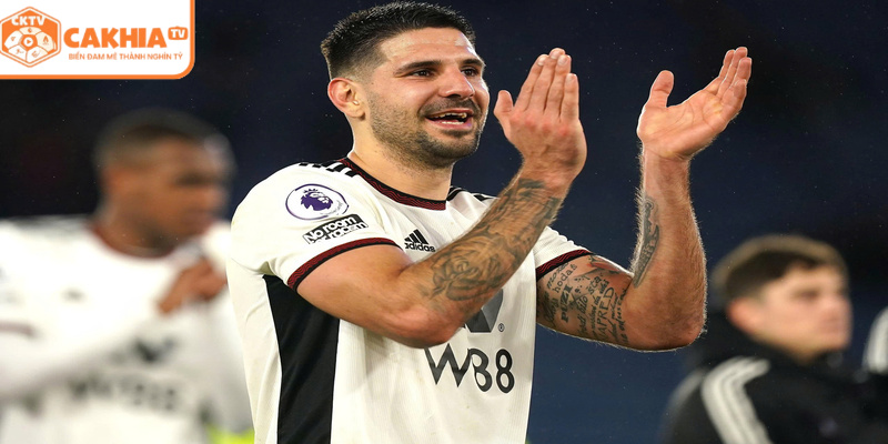 Aleksandar Mitrović